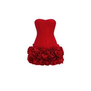 Red Corset dress